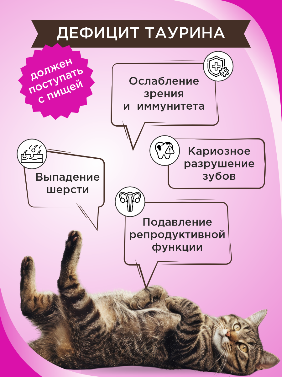 Полезное лакомство для кошек GOODR CAT Здоровье и энергия 90 таб. - фото 3