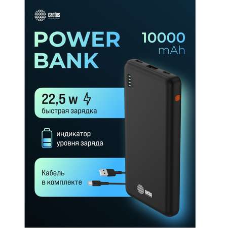 Аккумулятор мобильный CACTUS 10000mAh черный