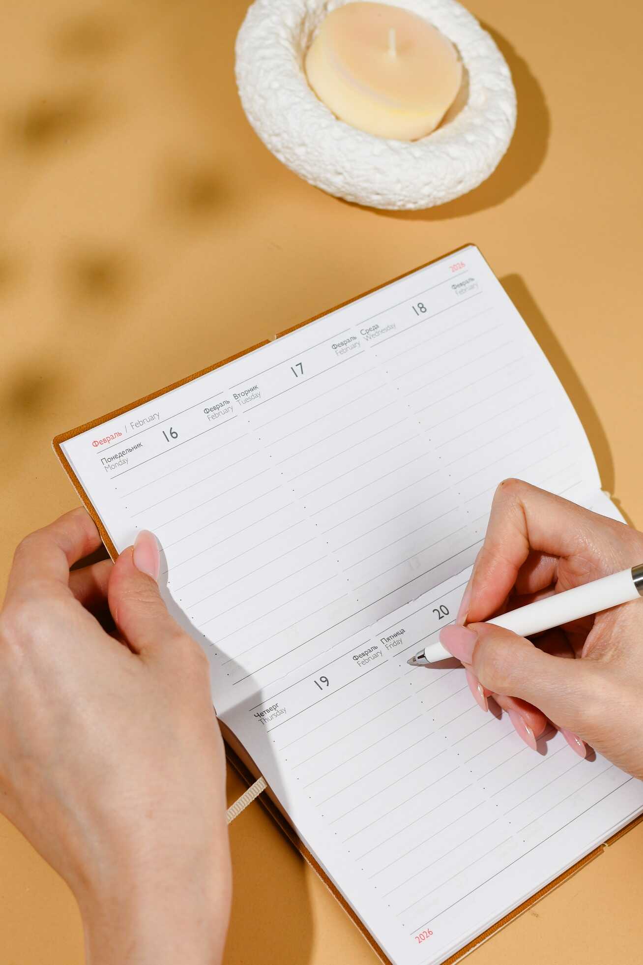 Ежедневник Феникс + ESCALADA 64 лист. - фото 12