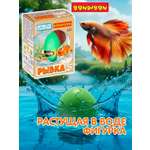 Набор для выращивания Bondibon Вырасти Рыбку в яйце