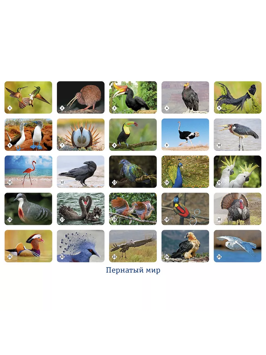 Настольная игра Нескучные игры - фото 9