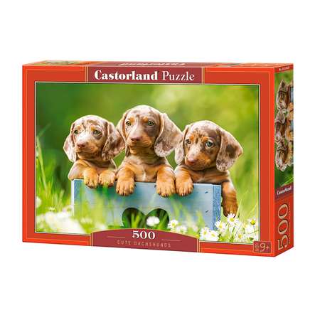 Пазл Castorland классический