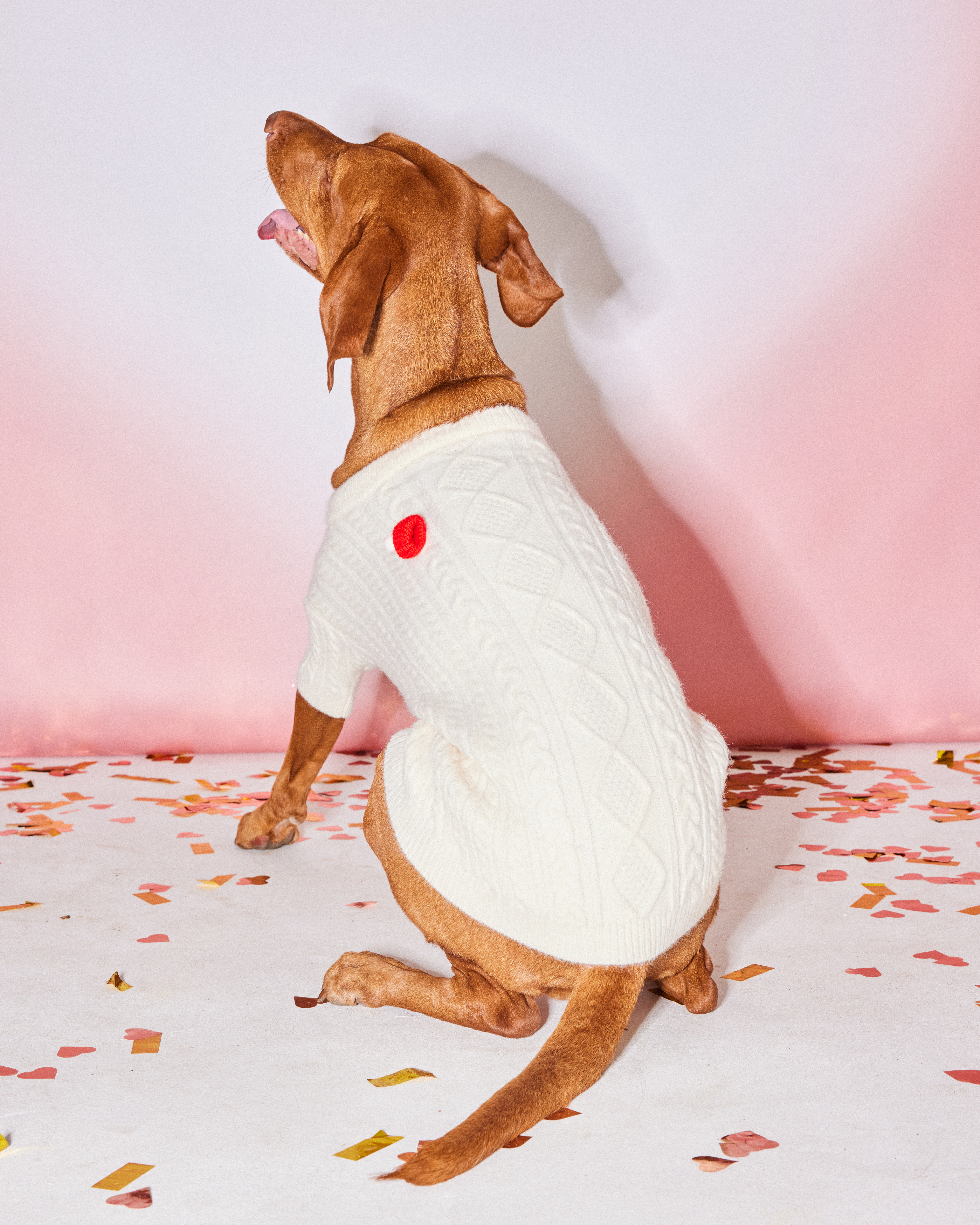 Джемпер для собак и кошек Зоозавр - фото 1