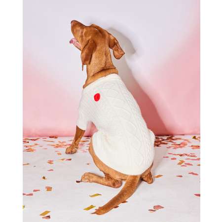 Джемпер для собак и кошек Зоозавр