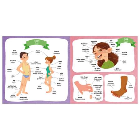 Книга Clever Мой первый английский Английский словарь в картинках