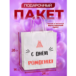 Подарочный пакет с ручками AXLER праздничный бумажный для подарков