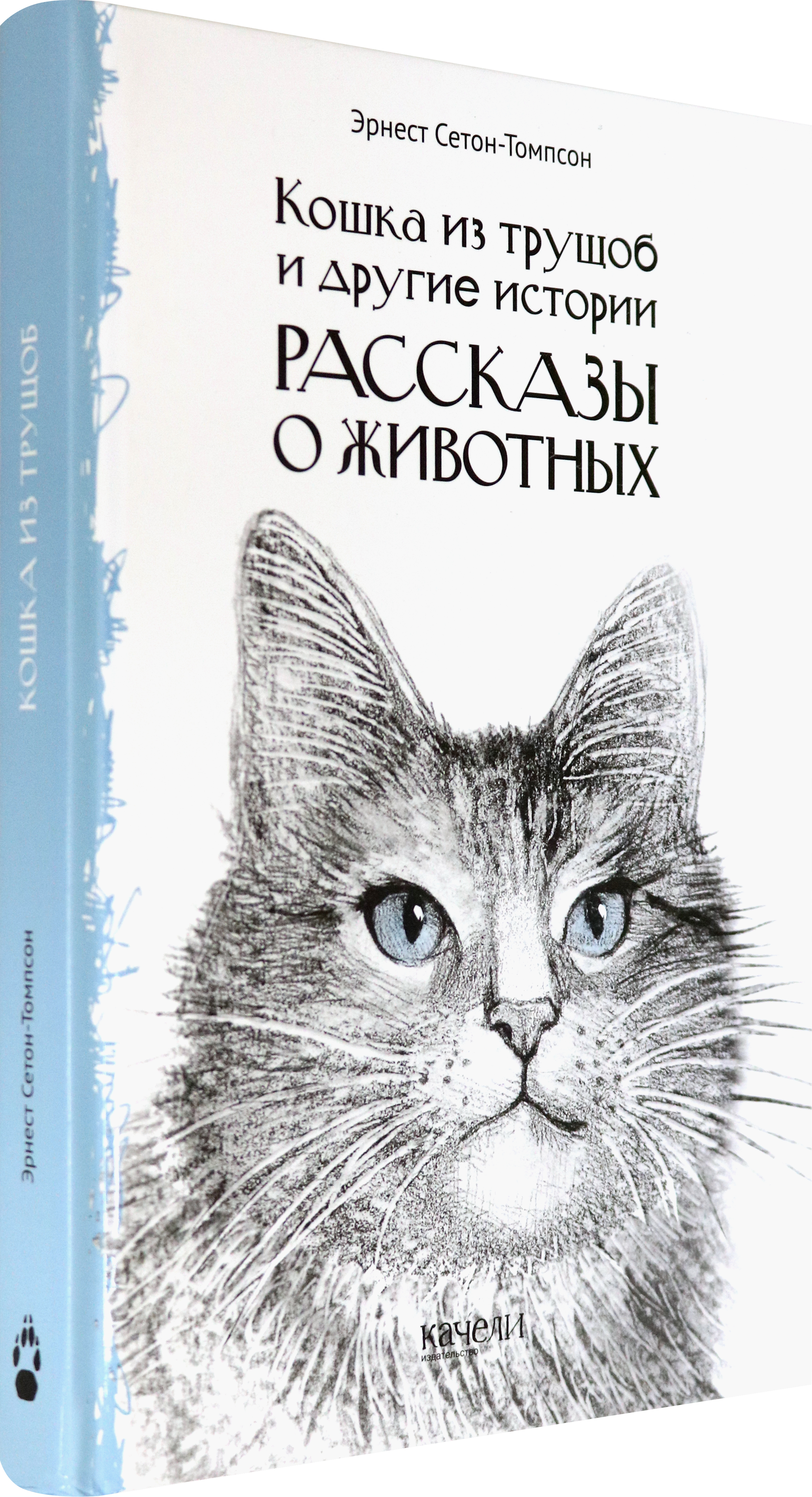Книга Качели Кошка из трущоб и другие истории - фото 2