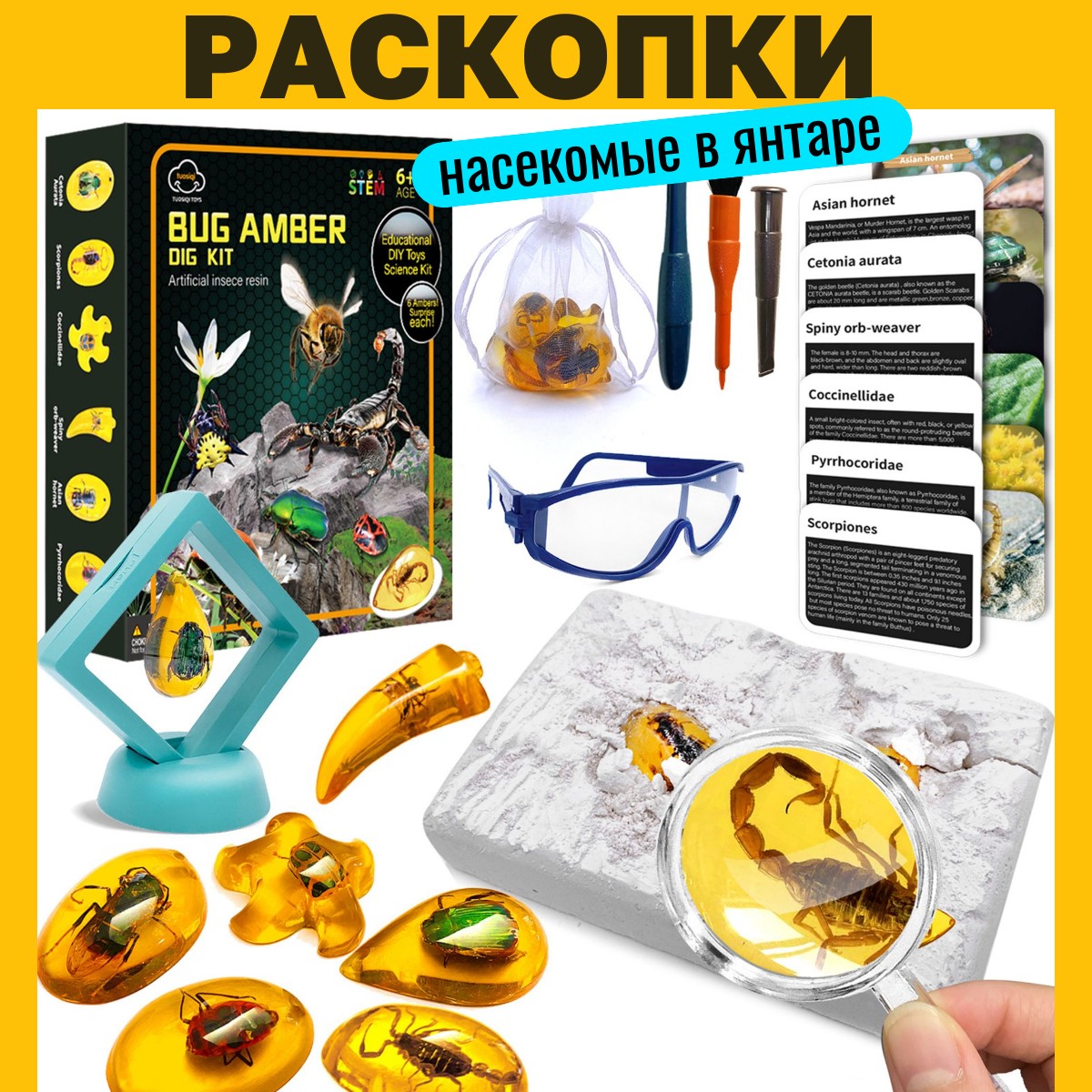 Набор для раскопок ТОТОША Насекомые в янтаре - фото 1