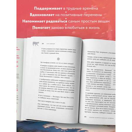 Книга БОМБОРА Если все кошки в мире исчезнут (подарочное издание)