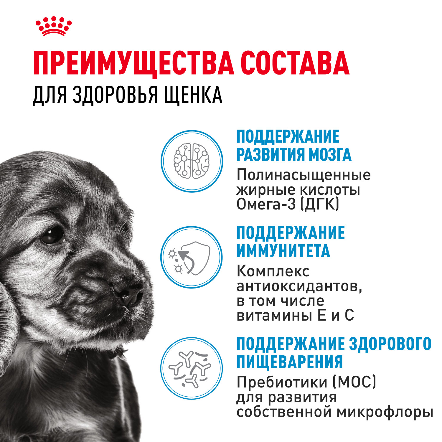 Корм для щенков ROYAL CANIN Puppy мелких пород 800г - фото 3