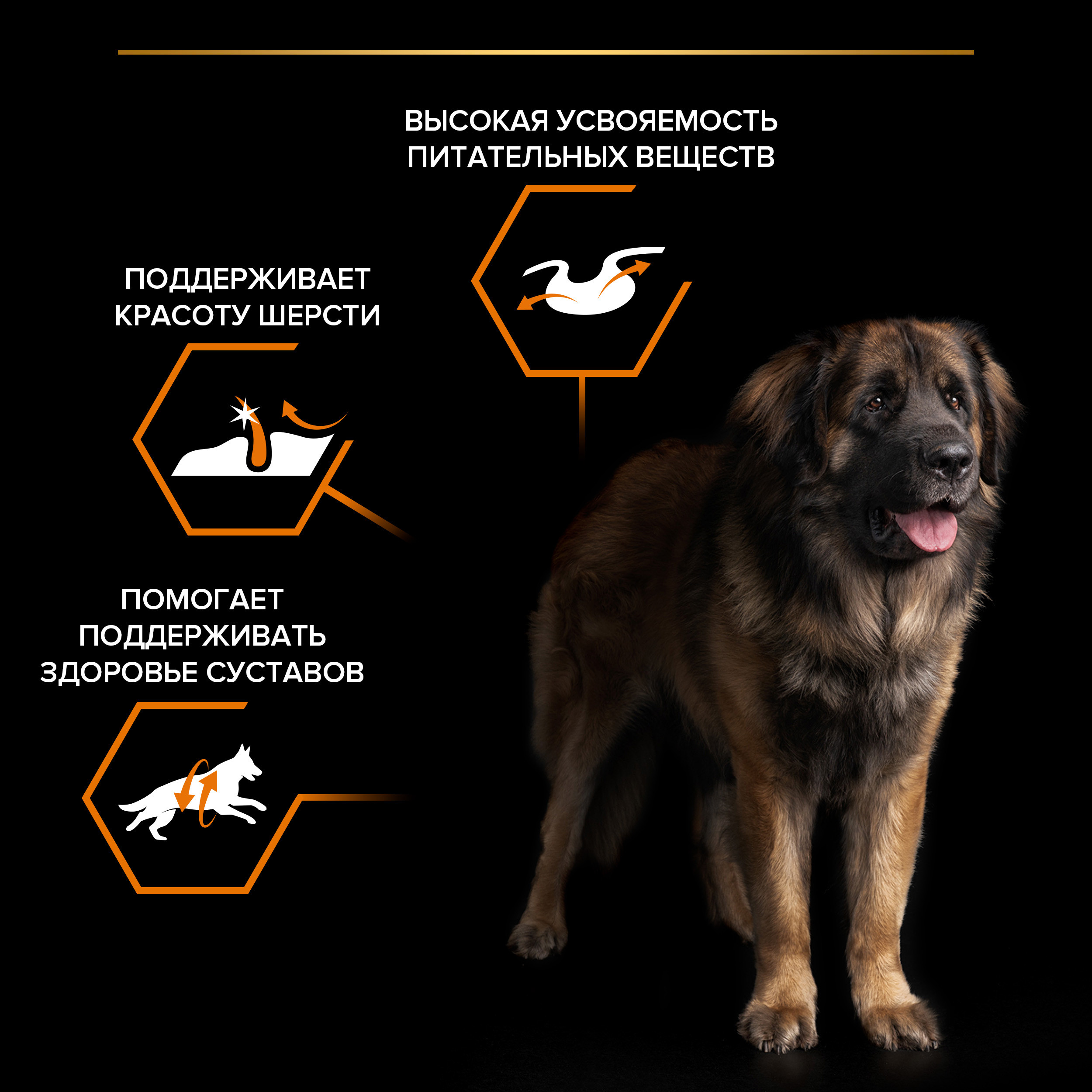 Корм для собак PRO PLAN крупных пород с мощным телосложением с комплексом Optibalan с высоким содержанием курицы 14кг - фото 6