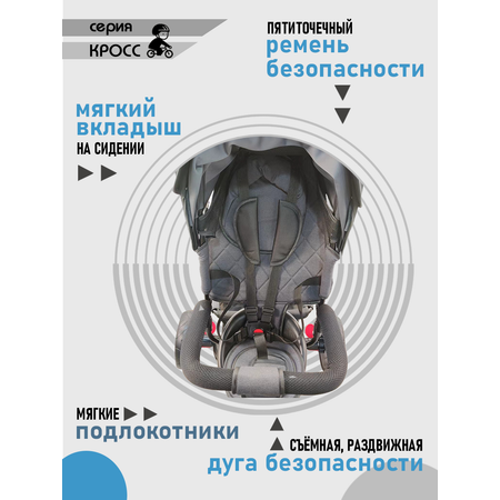 Трехколесный велосипед Velobibi 10 дюймов