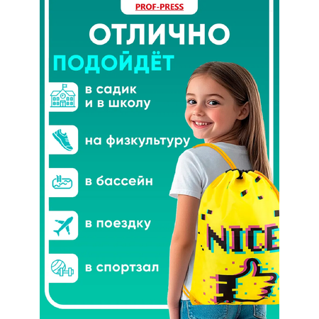 Мешок для обуви Prof-Press