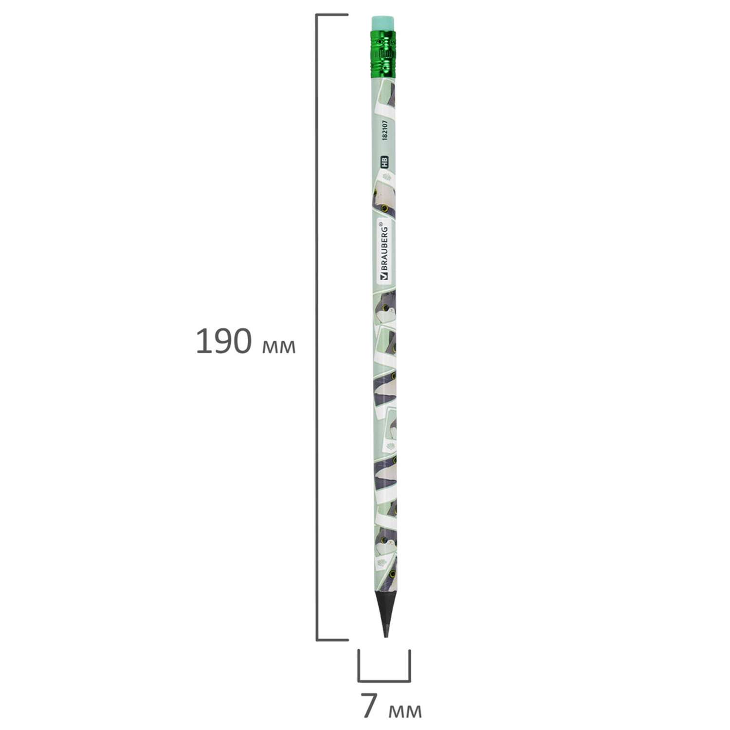 Карандаши чернографитные Brauberg в ассортименте - фото 2