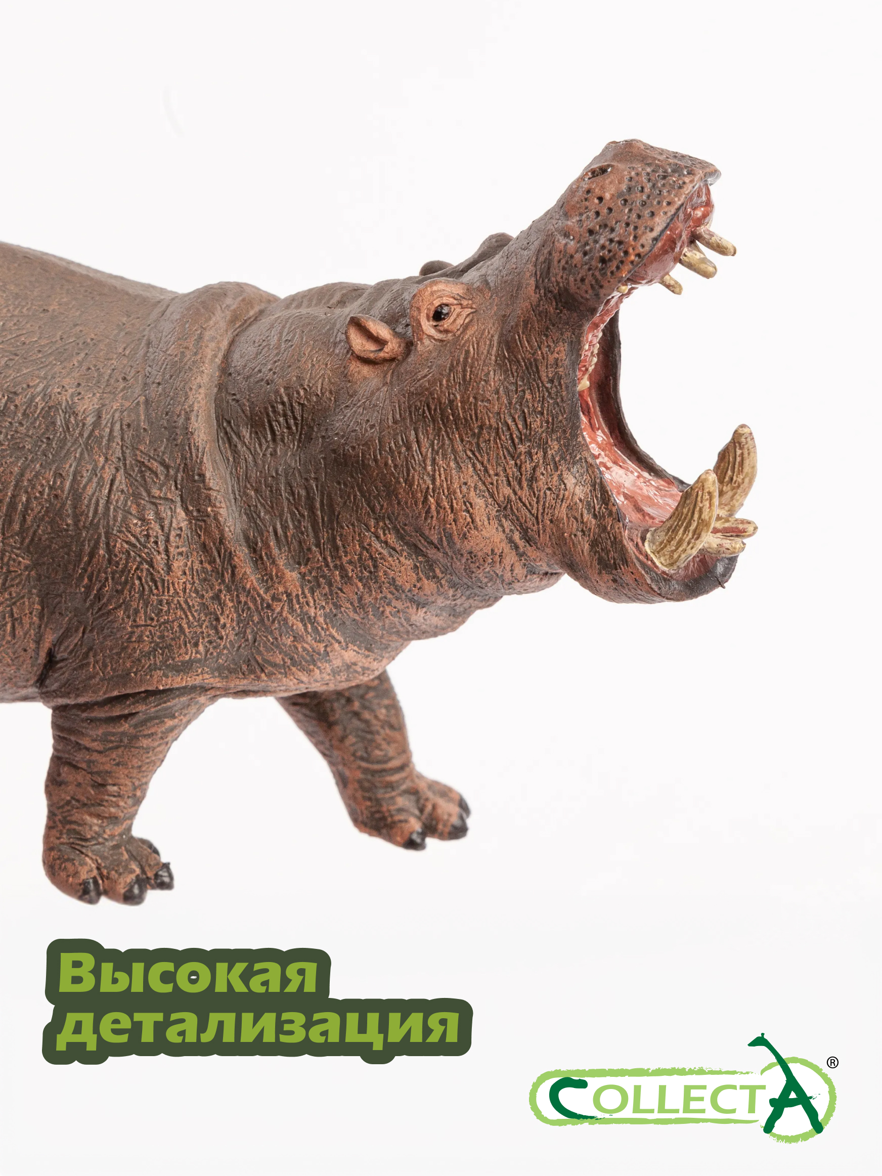 Фигурка Collecta Гиппопотaм - фото 3