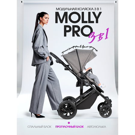 Коляска 3в1 Farfello Molly Pro серый