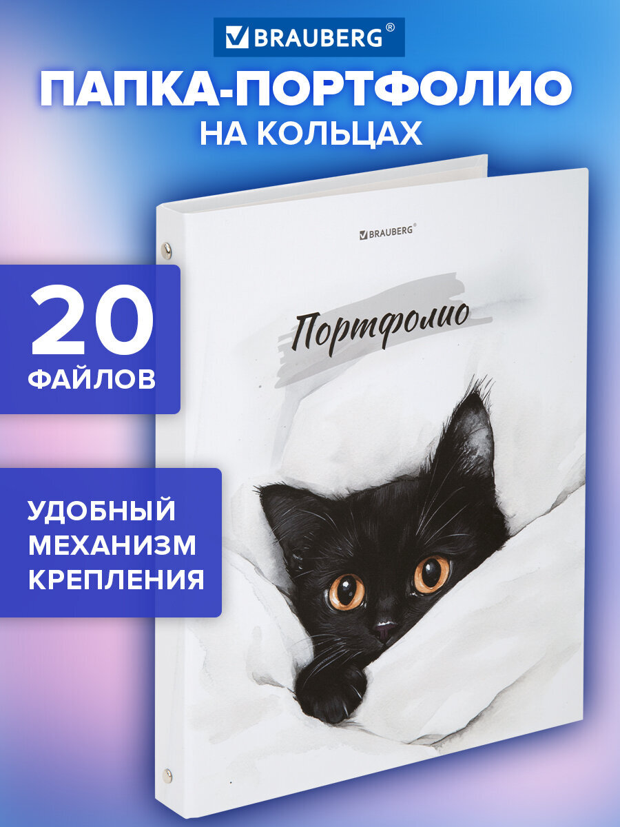 Портфолио школьника Brauberg папка А4 на кольцах 20 файлов для девочки и мальчика - фото 1