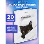 Портфолио школьника Brauberg папка А4 на кольцах 20 файлов для девочки и мальчика