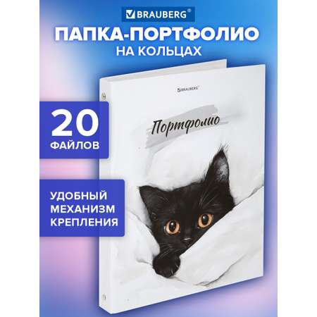 Портфолио школьника Brauberg папка А4 на кольцах 20 файлов для девочки и мальчика