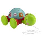Каталка Fisher Price Обучающая черепаха