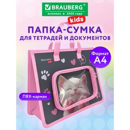 Папка для тетрадей Brauberg А4