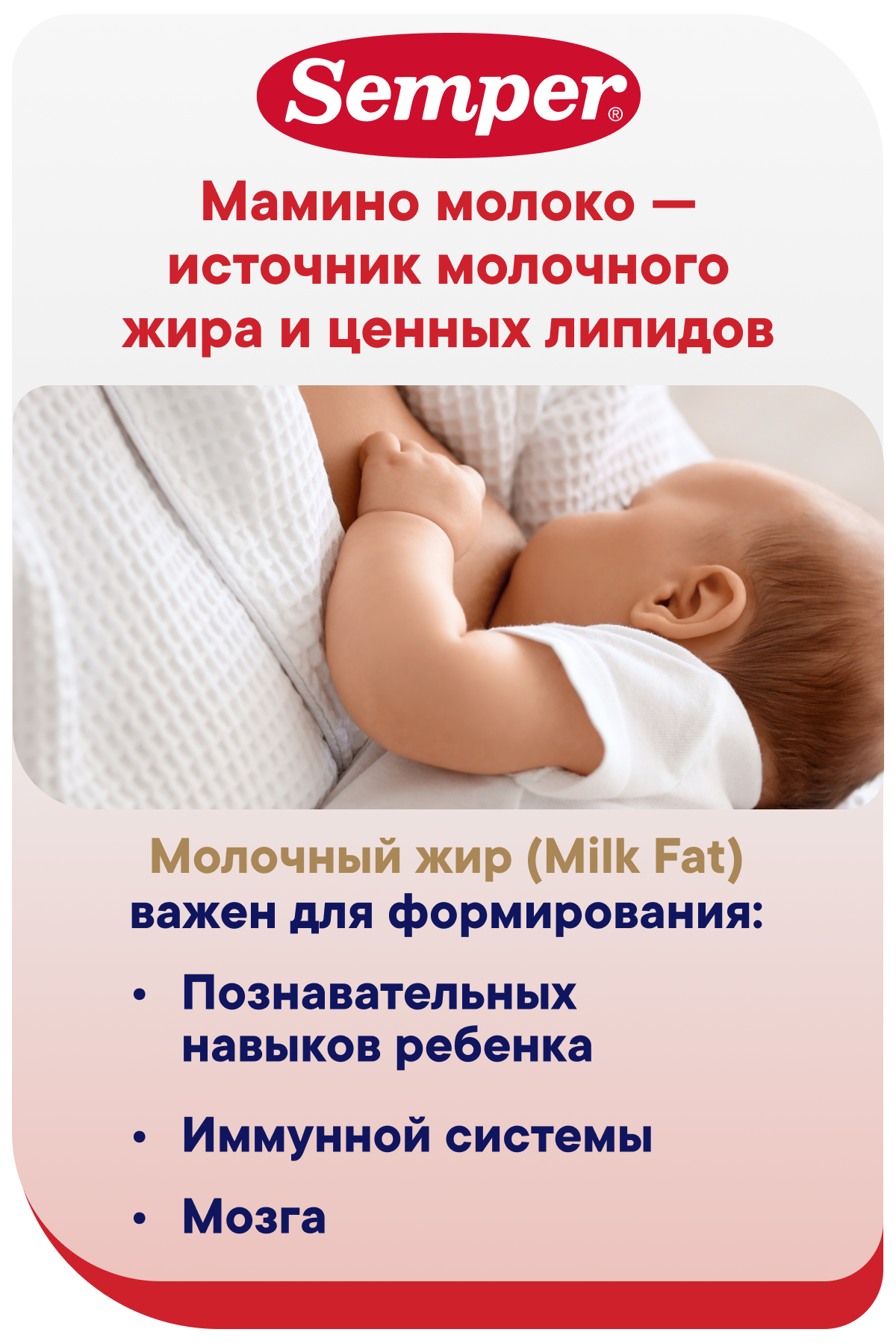 Смесь Semper NutraMaxima Exclusive 3 800г с 12 месяцев - фото 6