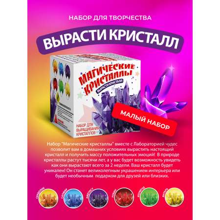 Набор для опытов ВИСМА Магические кристаллы