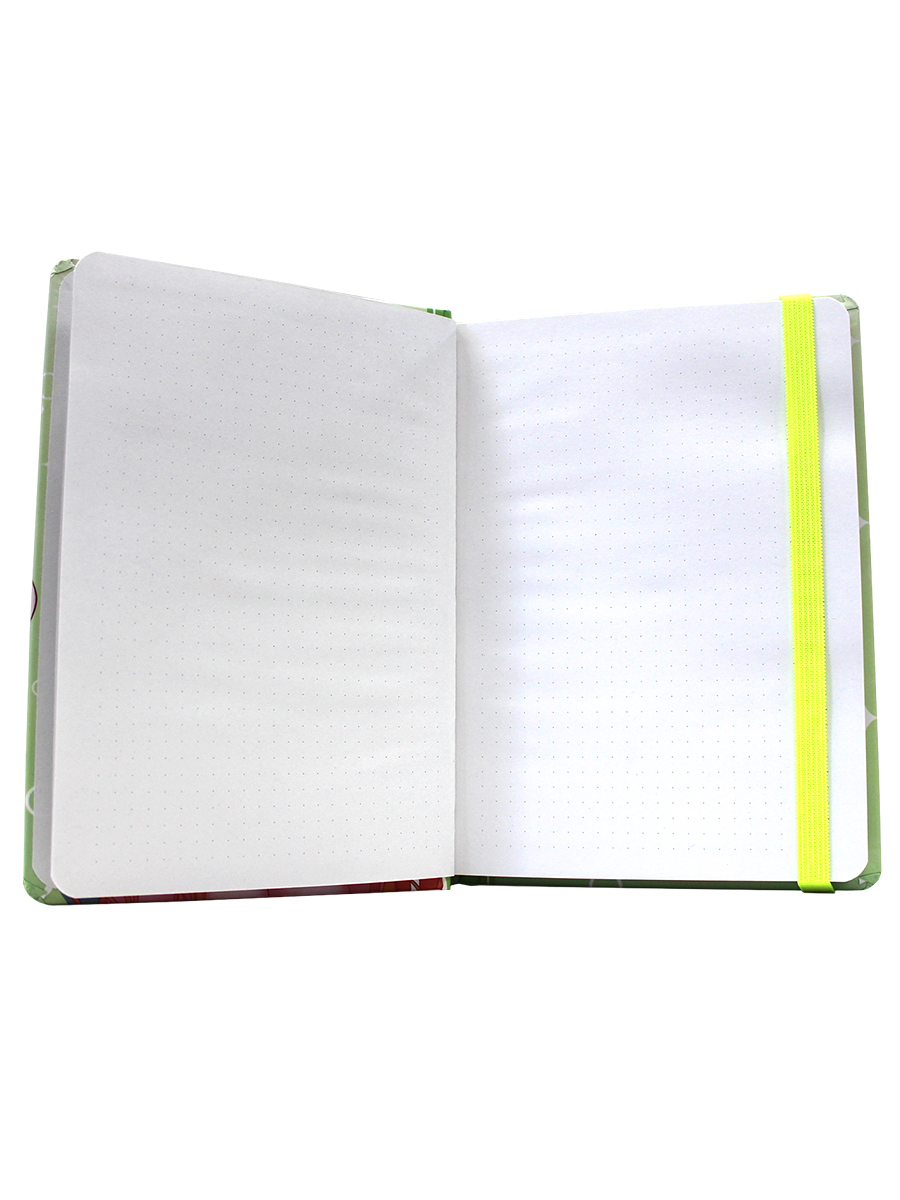 Блокнот Проф-Пресс в точку А5. Точкабук Девочка 72 лист. - фото 6