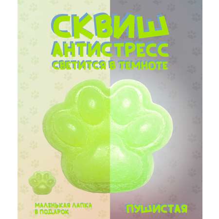 Сквиш КАМЕЛИЯ
