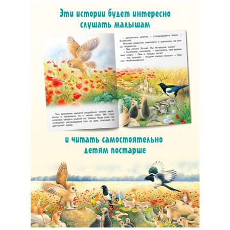 Книга Фламинго Сказки для детей и малышей Добрые истории со смыслом Внеклассное чтение