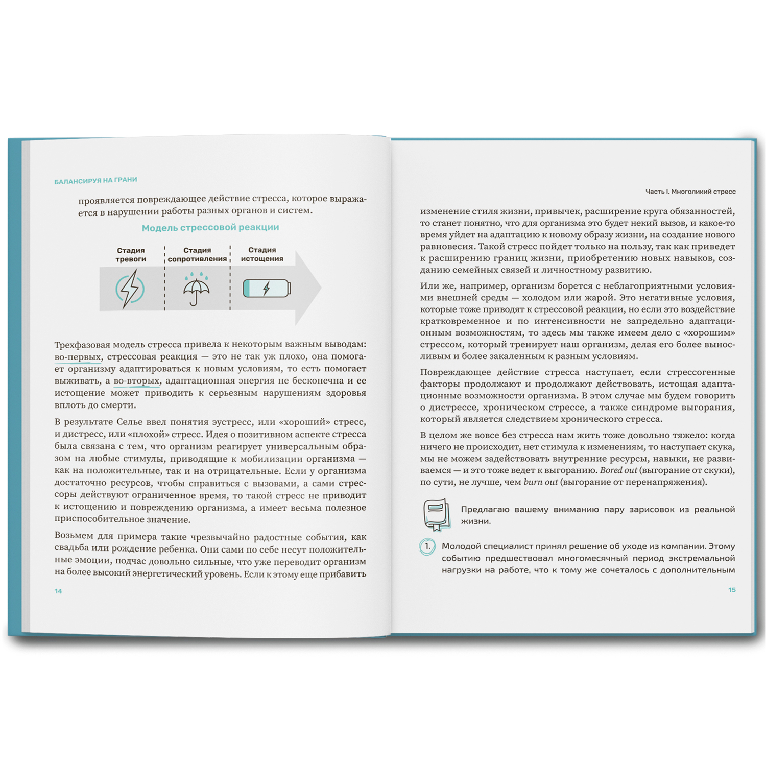 Балансируя на грани. Феникc Книга - фото 11