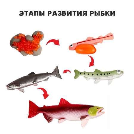 Игровой набор Sima-Land
