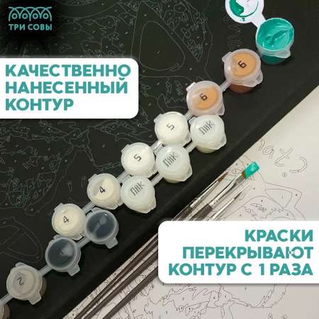 Картина по номерам ТРИ СОВЫ Стильный кот