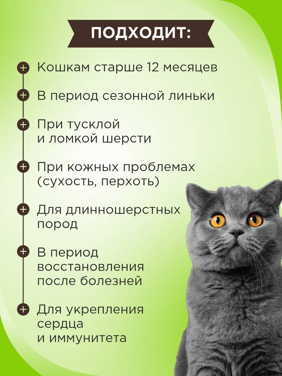 Полезное лакомство для кошек GOODR CAT Здоровье кожи и шерсти 90 таб. - фото 2