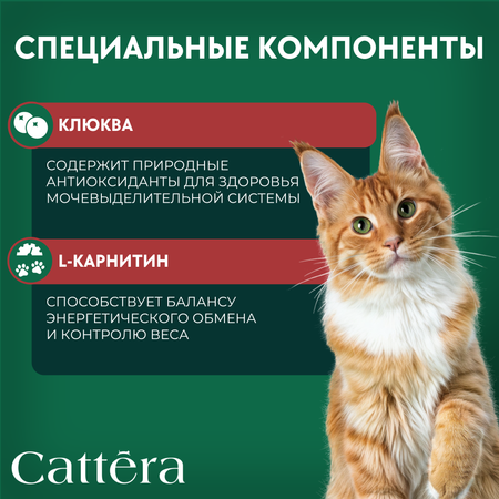 Корм сухой для кошек Cattera полнорационный для взрослых стерилизованных кошек с говядиной 0,7кг