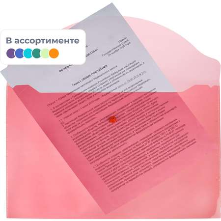 Папка для тетрадей Attache А4