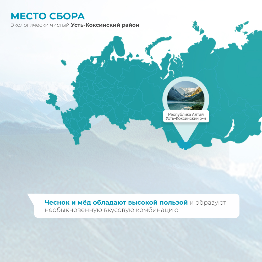 Мед Предгорья Белухи горный натуральный разнотравье с чесноком 140 г - фото 4