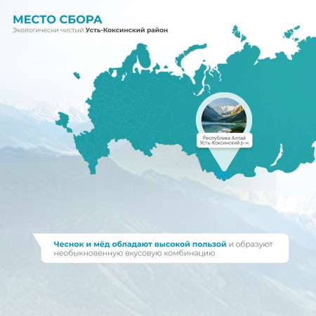 Мед Предгорья Белухи горный натуральный разнотравье с чесноком 140 г