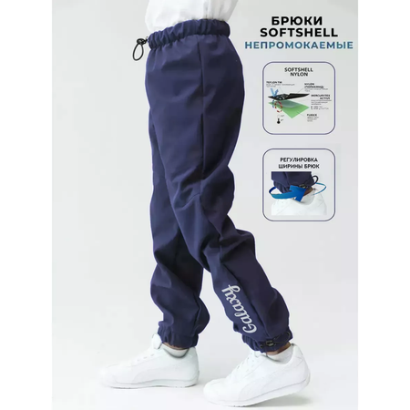Брюки Lemonwear