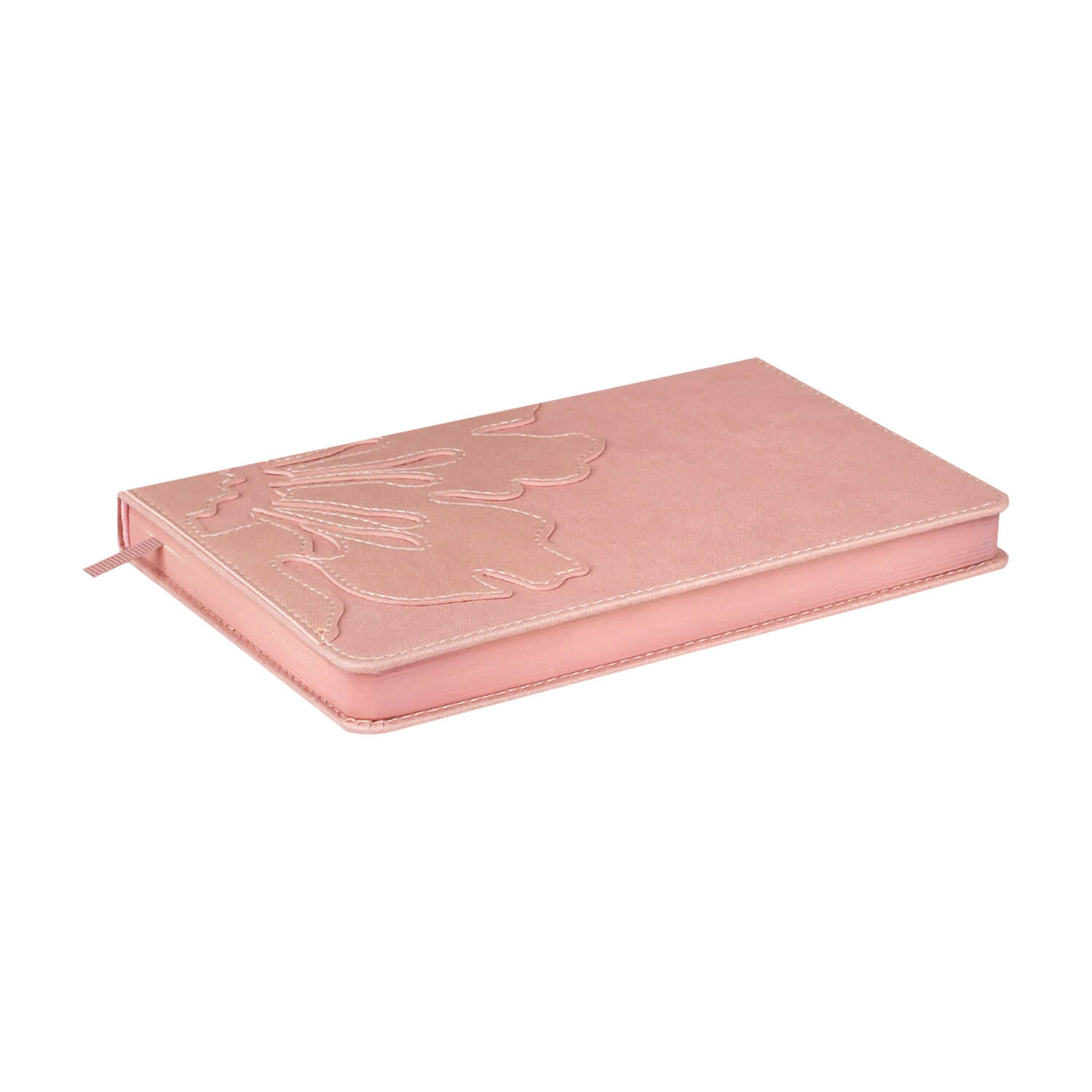 Ежедневник Феникс + ESCALADA 160 лист. - фото 5