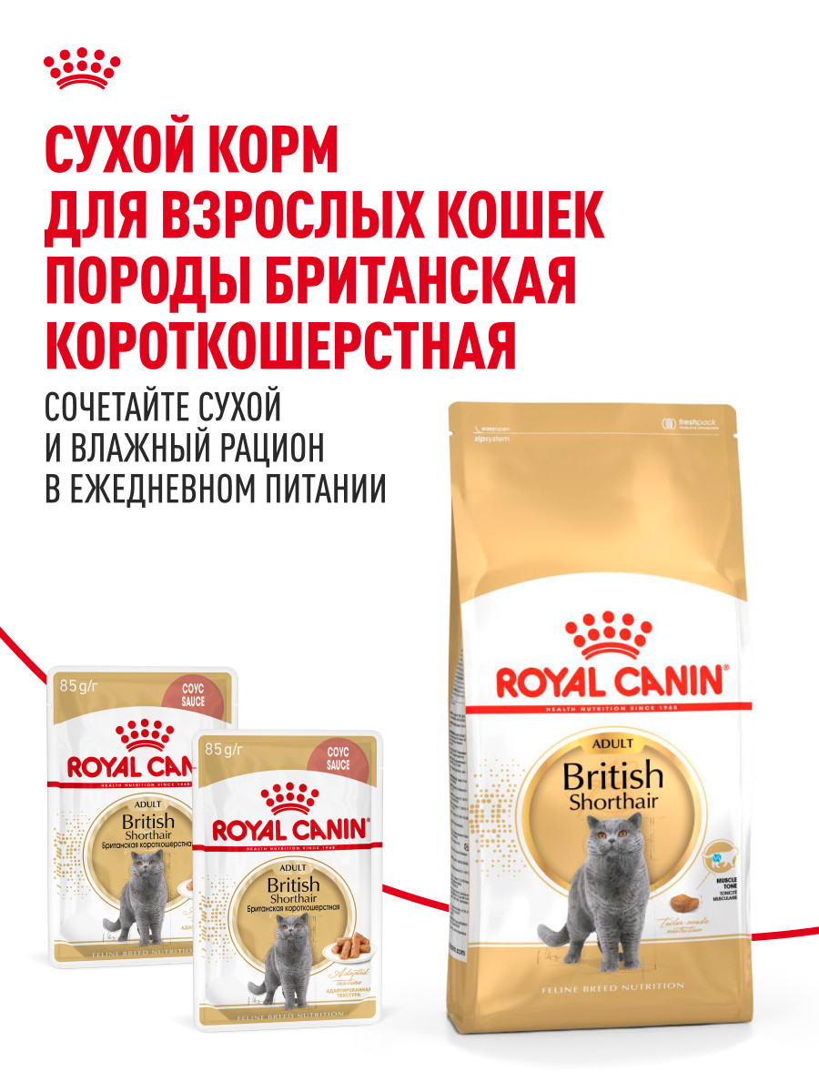 Корм для кошек ROYAL CANIN Брит соус 85г - фото 8