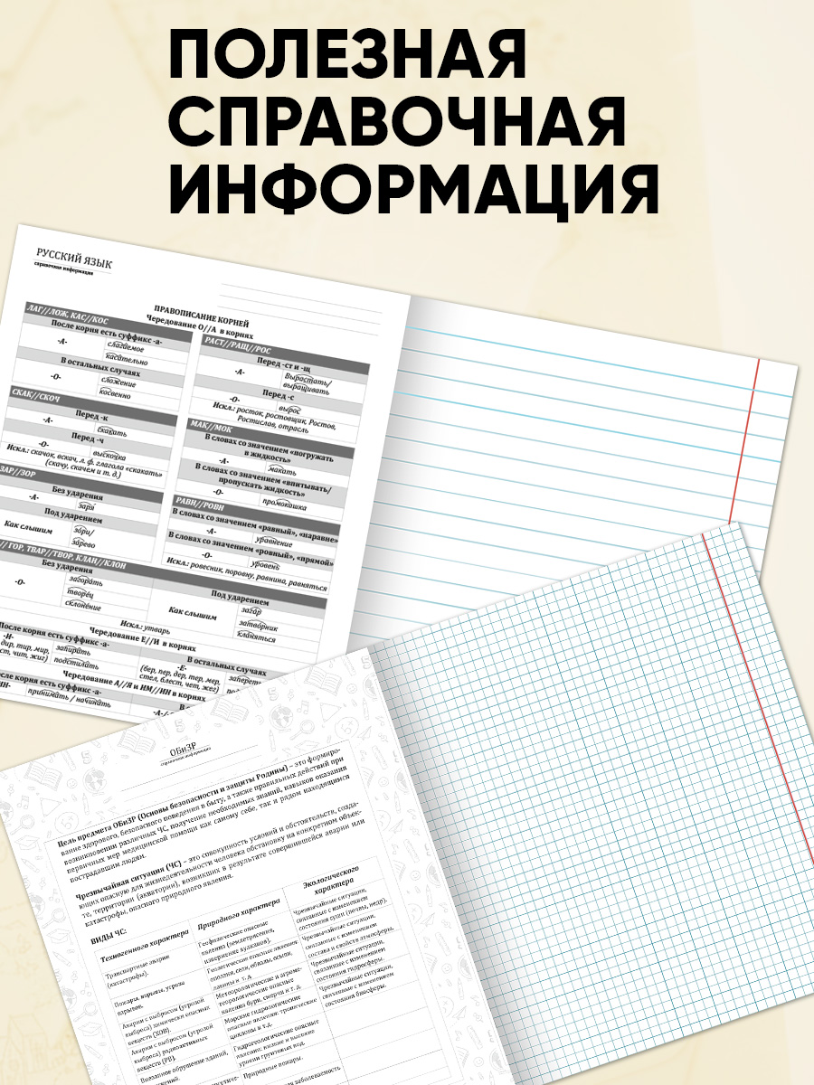 Тетрадь Prof-Press 24 лист. 10 шт. (Иностранный язык, Биология, История, Русский язык, Литература, Алгебра) - фото 7