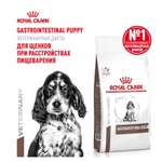Корм для щенков ROYAL CANIN Gastro Intestinal Junior GIJ29 при нарушении пищеварения 2.5кг