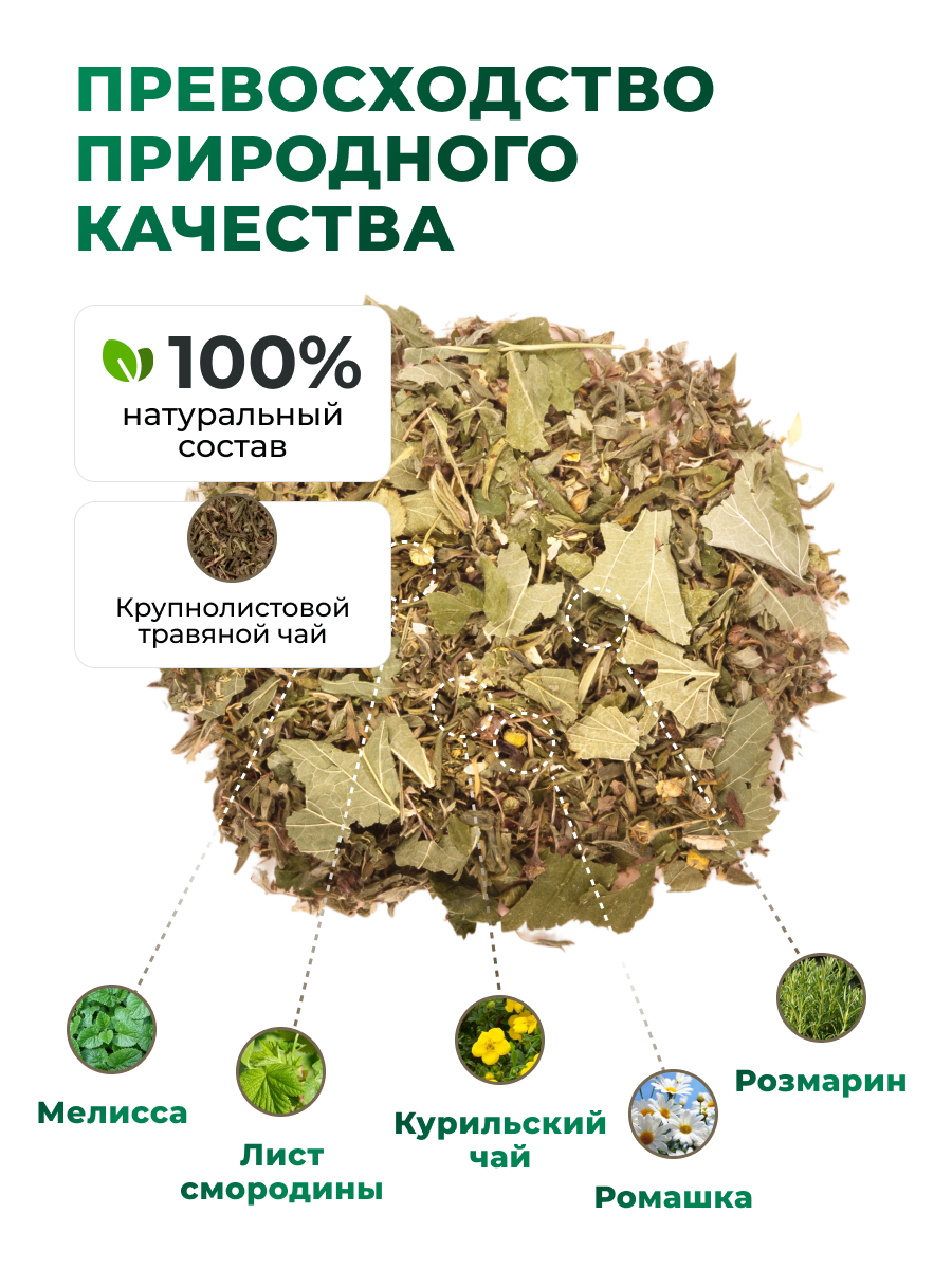 Напиток чайный Предгорья Белухи Курильский чай с листом смородины мелиссой розмарином ромашкой 40 гр - фото 6