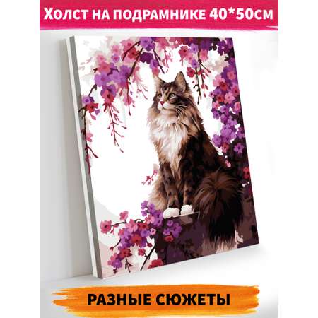 Картина по номерам Hobby Paint Задумчивый кот в ассортименте