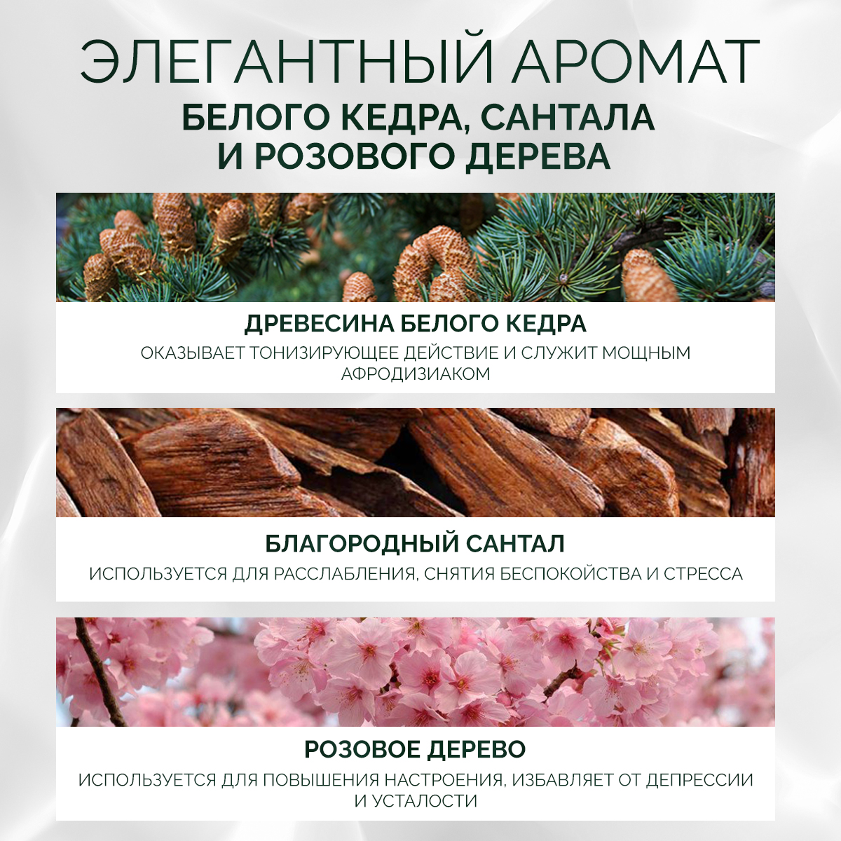 Гель NICE by Septivit Mystic wood 1000 мл - фото 2