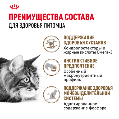 Корм для кошек ROYAL CANIN Ageing 85гр для пожилых 12+ желе пауч