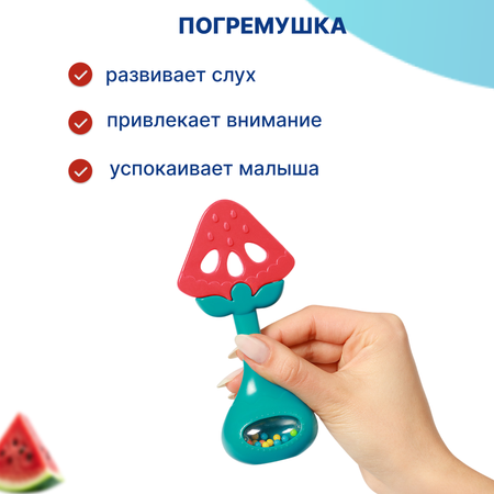 Игрушка Babyono погремушка Арбуз в ассортименте