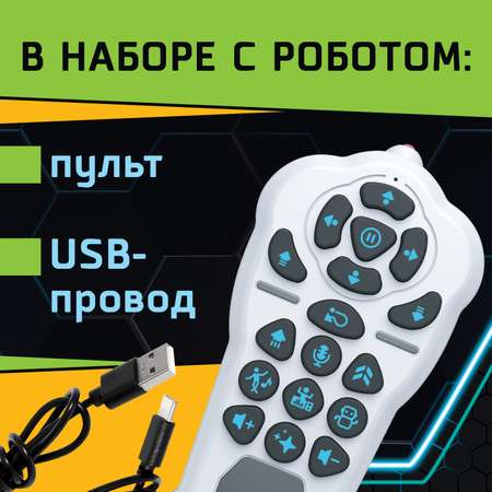 Робот РУ IQ BOT Кибер Бот