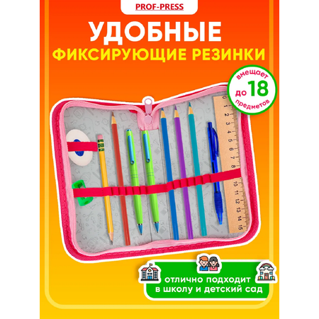 Пенал книжка Prof-Press